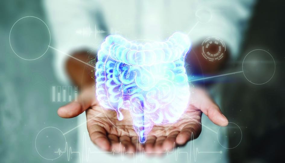 Gut Health Myths Debunked: What Science Really Says