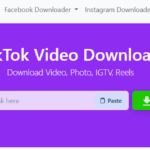 How to Download TikTok Videos: A Complete Guide Using Instsaves Pro