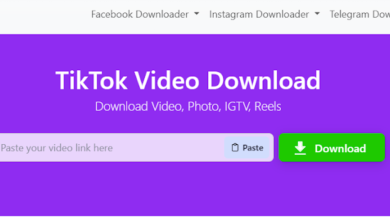 How to Download TikTok Videos: A Complete Guide Using Instsaves Pro