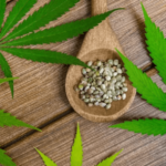 What to Look For When Buying Cannabis Seeds: A Quick Guide