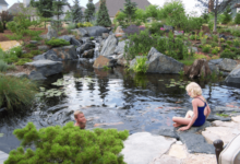 Swimming Pond