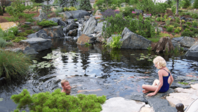 Swimming Pond