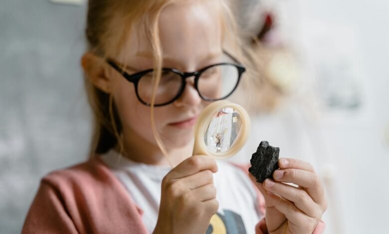 importance of school education