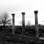 latest movies exploration hub