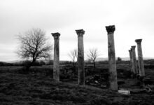 latest movies exploration hub