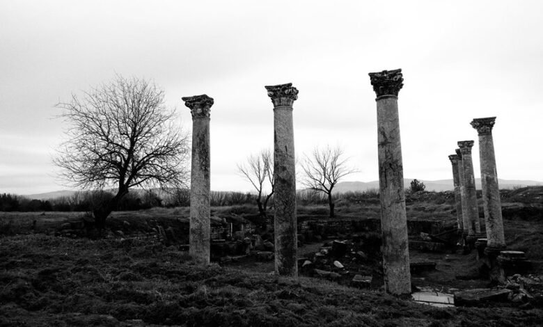 latest movies exploration hub