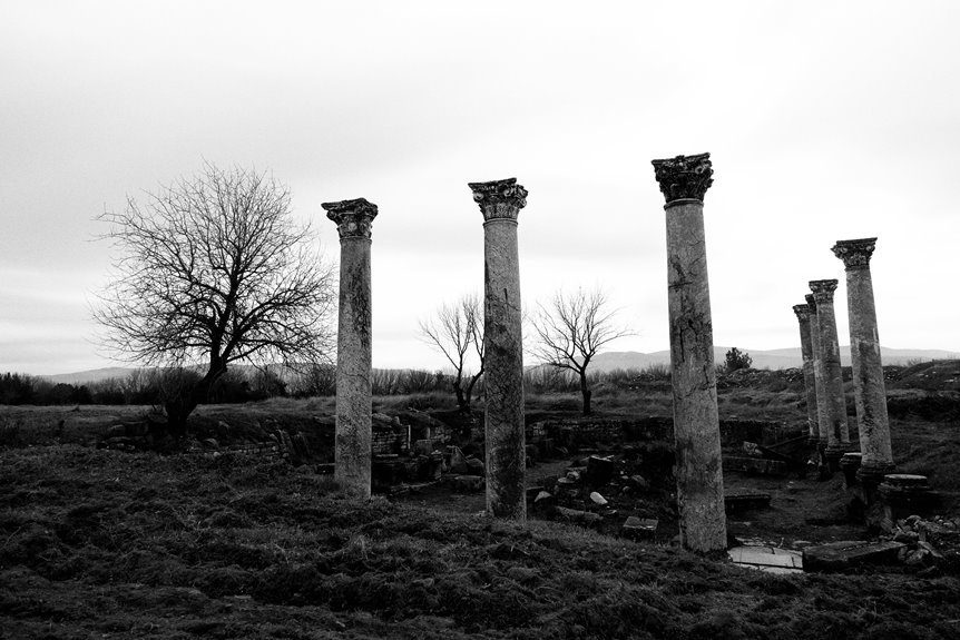 latest movies exploration hub