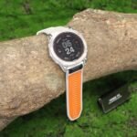 bankroll tracking and feedback