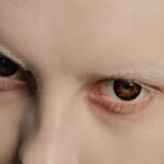 contact details overview provided