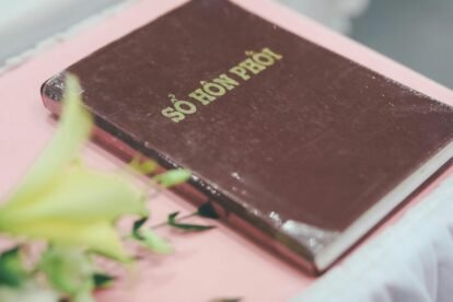 network registry feedback summary